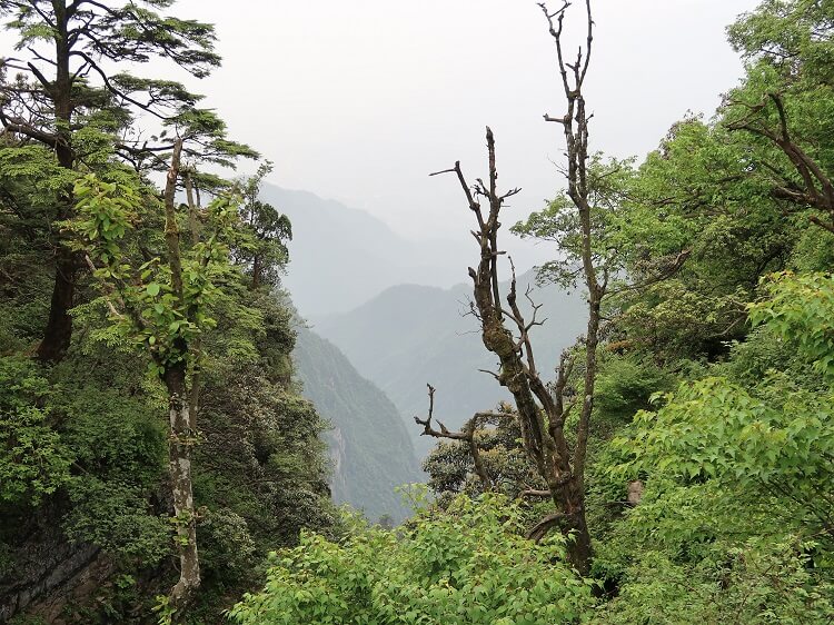 Mount Emei near Chengdu
