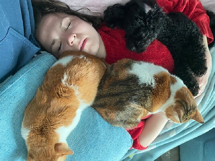 Napping with my cats living in Shenzhen