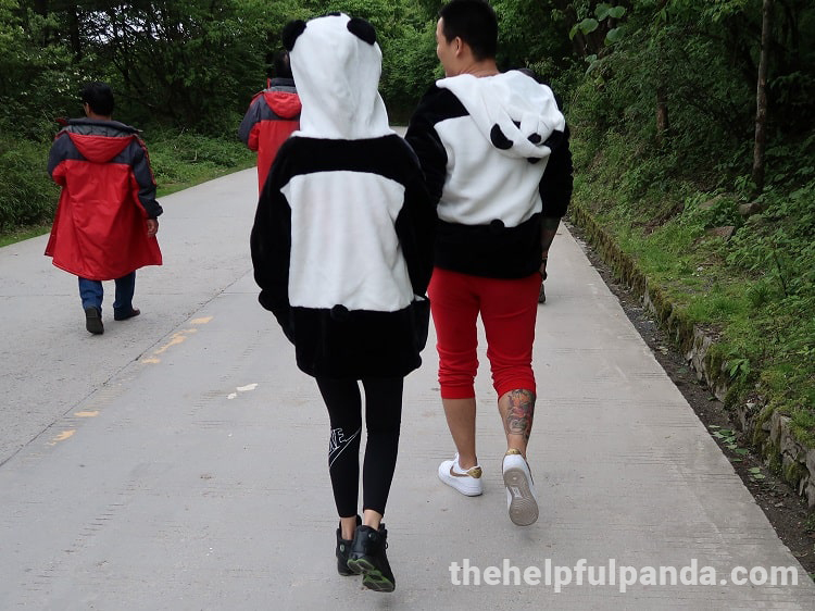 chinese couple wearing matching panda outfits