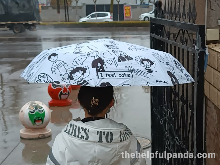 funny chinese umbrella